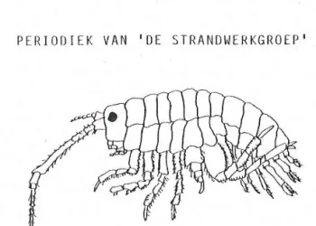 de strandvlo logo