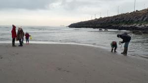 Zeebrugge westelijke strekdam