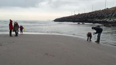 Zeebrugge westelijke strekdam