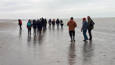 De Panne