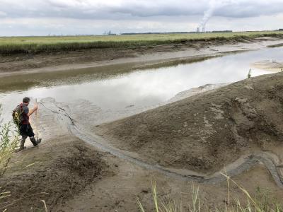 Verdronken land van Saeftinghe